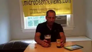 Skinny Dip Summer Ale beer Review From New Belgium Brewing
