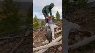 Family Backpacking Trip With Pack Goats #shorts #packgoats #familyadventure