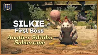 FFXIV 6.25 - SILKIE Criterion Dungeon Normal CLEAR (PLD POV) Another Sil'dihn Subterrane