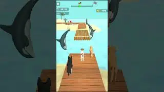 Dog Run 3D Fun Race! All Level Gameplay walkthrough For Android And iOS