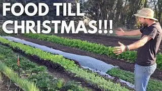 FREE Homestead Season Extension Hack (No Greenhouse)