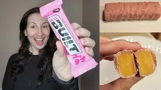 NEW FLAVOR│BUILT BAR ANIMAL COOKIE