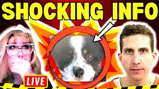 💥BOMBSHELL💥BRYAN KOHBERGER: NEW INFO ABOUT BUDDY & MURPHY THE DOG!! REPORTER ROOM #truecrimepodcast