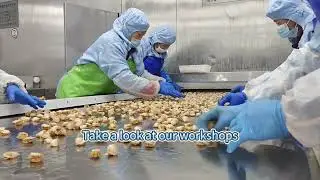 Fresh Frozen Seafood Factory in China Global Export  #Seafood #FrozenFood #Scallop #SeafoodExport