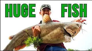 The Hunt for a RIVER MONSTER Continues - Part 2 - Early Fall Fishing