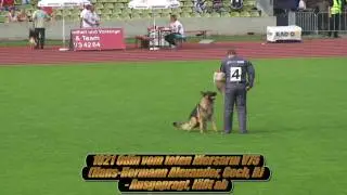 SV BSZS 2009 Ulm Ruden protection service part 1