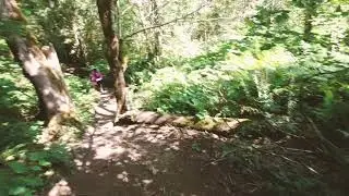 Mount Crumpit Hike