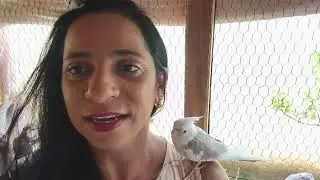 Cuidando da minha ave especial (deficiente).