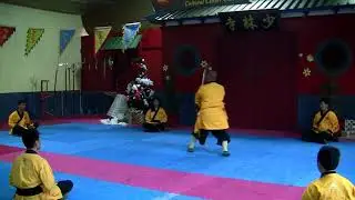 Master Yanxu performs  Straight Sword 2016