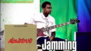 Bob Marley & The Wailers - Jamming | Bass Cover 