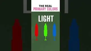 The Real Primary Colors