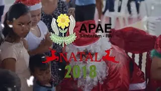 Natal 2018 APAE