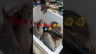 Fish cutting skills#viral video#Katla lover#shorts