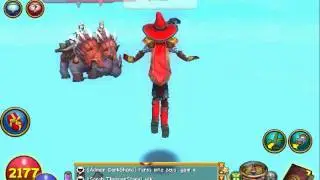 Wizard101 forever aka heaven