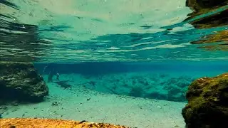 Ecofina Creek Devils Hole spring June 17