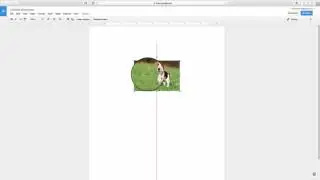 Adding Text and Image in Google Photos and Google Docs