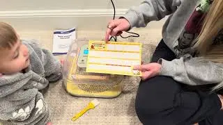Full Setup Process - Sailnovo 12 Egg Incubator