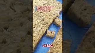 HSS 2 Semai Selada | Reused Rockwool 3x (Flipped)