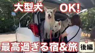 大型犬OKの素敵なお宿に泊まり四国旅行を満喫！人気の映えスポットにも行きました！