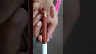 Get free lipstick | myglamm lit liquid lipstick swatches in shade swinger |