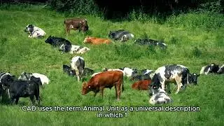 State Of Texas Ag Use Exemption & Property Tax Valuation