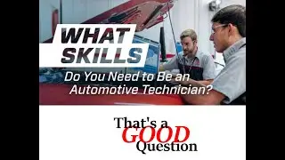 What skills do you need ?