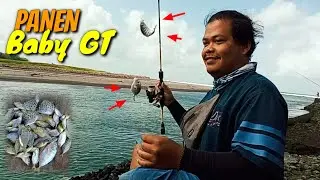 Mancing di Muara Puncu Purworejo || Mancing Baby GT