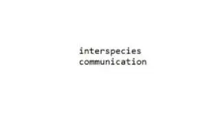 interspecies communication with Anna Breytenbach