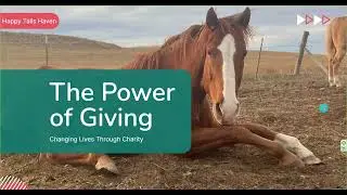 The Power of Giving~ SD Day Of Giving 2025