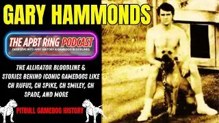 Gary Hammonds – The ALLIGATOR APBT BLOODLINE – GAMEDOG History