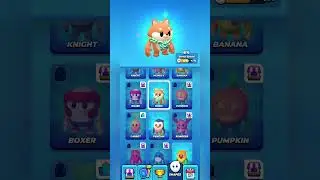 Pocket Champs NEW Skin SHIBA