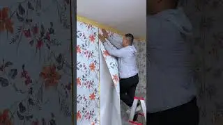 From Boring to Bold Best Wallpapers for Every Style