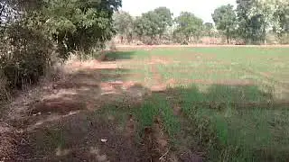 Misrilal ji Parajapat karshi forum house Railway stations Mori Bera