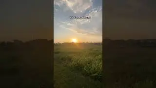 #selfcare #therapy #selflove #mentalhealth #sunsetwalk #familytime