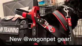 Big gear unboxing!🖤❤️