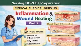 Inflammation and wound healing part 2| Target High| Norcet | MSN #inflammation #nursing