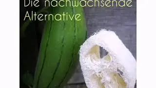 Reinzeit - Luffa Schwamm