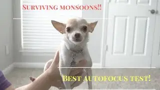Unique Samsung NX1 Autofocus Test | I have an old camera addiction || VLOG (S1, EP1)