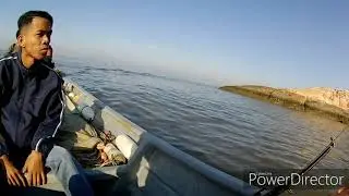 hujung minggu dipulau minyak beku .