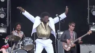 Charles Bradley - Bonnaroo 2012 - Heartaches and Pain