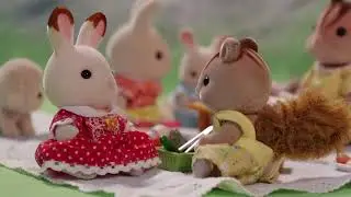 Picnic Time