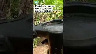 #tips #belajarternakkambing #ngarit #perjalanan 