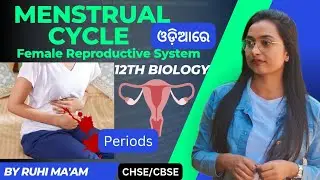 Menstrual cycle details in Odia || Female Reproductive System || Bio Gyan