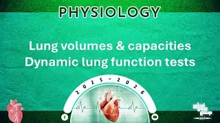 Revision of Tut 4: Lung volumes and capacities Dynamic lung function tests; Physiology