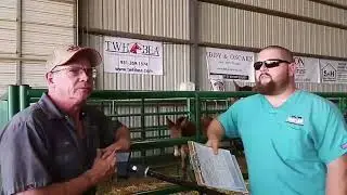 Horse Coggins Test @ Agricultural Learning Center