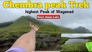Experience the Majesty of Chembra Peak: Your Ultimate Guide to Trekking
