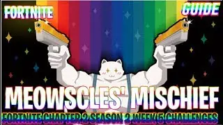 Meowscles' Mischief Challenges | Fortnite chapter 2 season 2 Week 5| Guides | Ninya Tonaya
