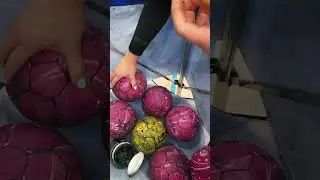 entorch - entwickelt f&uuml;r die Platte!