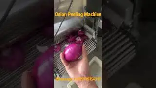 Efficient Onion Peeling Machine: Peeling Rate of 98% Or More