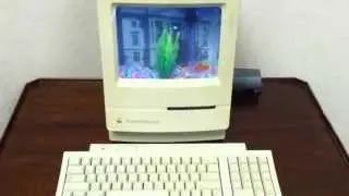 My Macquarium